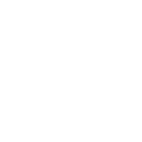 insagram icon